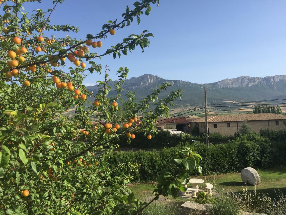La Guardia Legado De Zabala, Casa Rural المظهر الخارجي الصورة